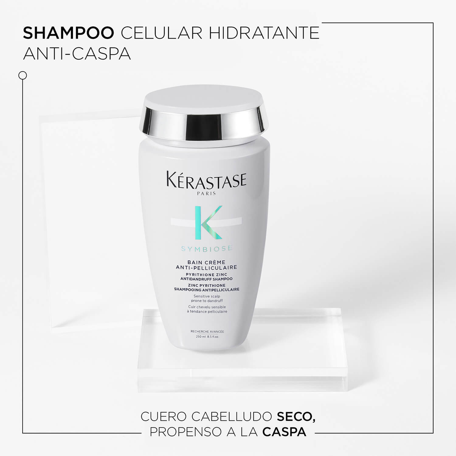BAIN CREME ANTI-PELLICULAIRE (SHAMPOO PARA CASPA SECA)